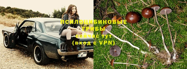 кокаин Богданович