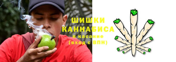 гидропоника Богородск