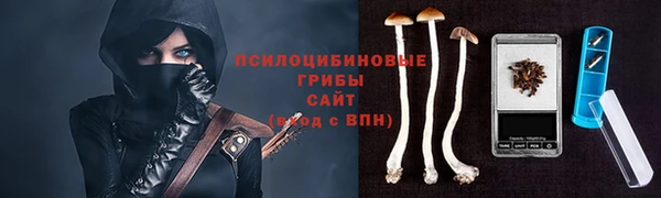 гидропоника Богородск