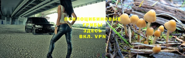Альфа ПВП Богородицк