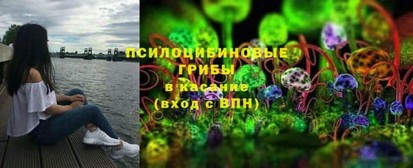 Альфа ПВП Богородицк