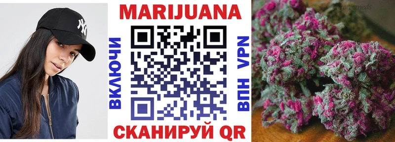где продают наркотики  Невельск  Бошки марихуана SATIVA & INDICA 